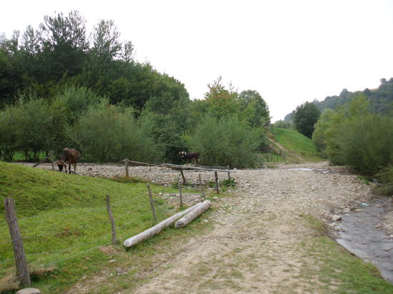 Auf dem Rückweg sehe ich, dass ein Geländewagen und ein Trecker sogar verschiedene Pfade gewählt haben müssen, ob sie wohl angekommen sind ? Oder waren das Anlieger ?