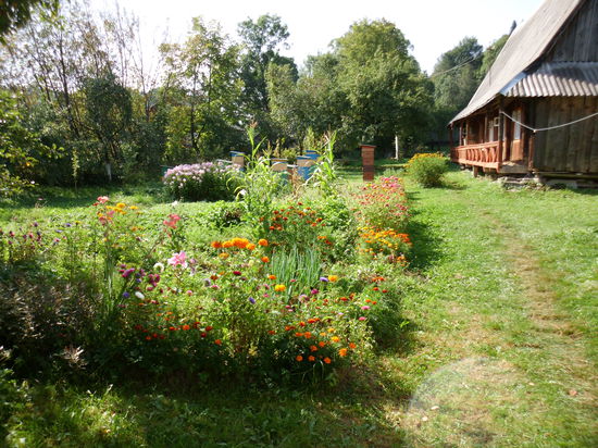 Der Tee, den wir dazu trinken, stammt aus diesem Garten. Ein Griff in die richtigen Kräuter, und schon hat man die passenden Teeblätter