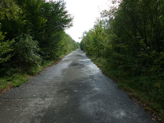 Der Weg dorthin führt erneut nahe der Grenze entlang. Und wieder mache ich die Erfahrung, dass dort ein tadelloser Radweg aus der Zeit des eisernen Vorhangs zurückgeblieben ist: hier fuhren früher die Grenzschützer, die die Grenze zum Bruderland Sowjetunion bewachten.