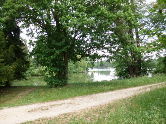  Alte Schleifen und tote Arme des Flusses Thaya wurden aufgestaut, die Uferzonen in eine Parklandschaft umgewandelt, die das Auge erfreut