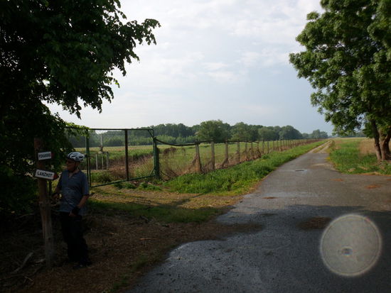 13 km fahren wir auf dem früheren Patroullienweg der Grenztruppen nach Süden am Grenzzaun entlang. Man hat ihn vom Stacheldraht befreit, aber als Wildschutzzaun stehengelassen