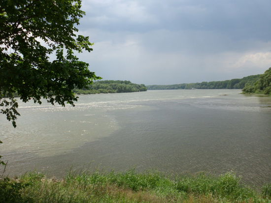 Einmündung der March (Morava) in die Donau. Die March hat fast kein Gefälle, die Donau rauscht dagegen mit fast 8 km/Std abwärts und staut bei Hochwasser die March kilometerweít zurück