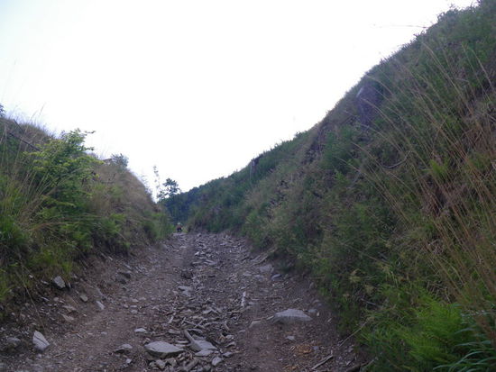 Irgendwohin muß dieser Weg ja auch führen, und bergauf ist im Prinzip ja richtig, sagen wir uns.
Im Prinzip......