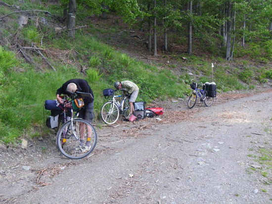Ich komme als letzter oben an, da kommt die Überraschung.
Wieso geht dieser Weg denn bergab ? 
Weil er zur anderen Talseite führt, da müssen wir erst einmal wieder 100 Höhenmeter runter !