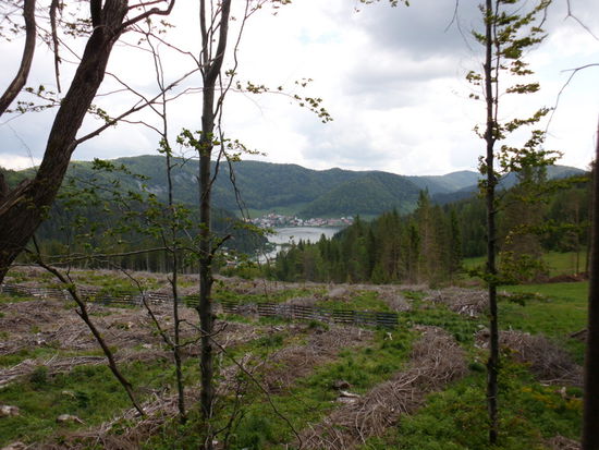 der Hlinec ist zwischendurch zu einem malerischen See aufgestaut, leider finden wir keinen Radweg am See entlang