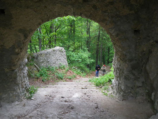 Die Burg ist schon seit fast 200 Jahren eine Ruine, außer ein paar Gedenktafeln für die früheren Burgherren wird nichts restauriert