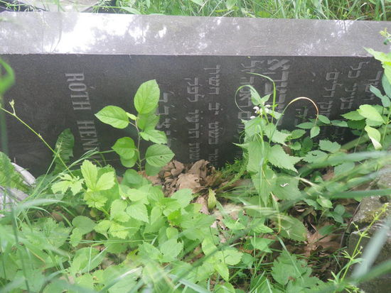 Wann mögen hier die letzten Beerdigungen stattgefundennhaben ?