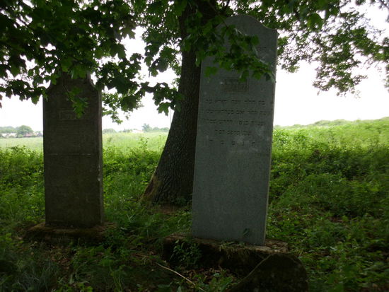 In einem Wäldchen hinter Zahor entdecken wir einen verwaisten jüdischen Friedhof