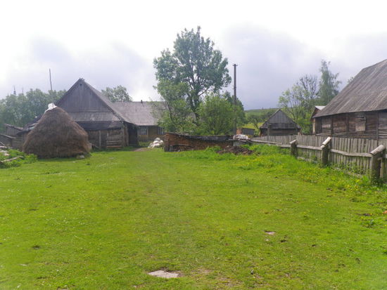 Die Wiese der Nachbarn