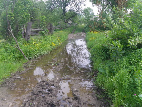Mal ohne Gepäck bergauf zu radeln hätte ja mal seinen besonderen Reiz.
Wir kommen aber nicht weit, wegen schlechter Straßenverhältnisse. Da lassen wir die Räder am Waldrand fest angeschlossen stehen und kämpfen uns zu Fuß weiter durch.