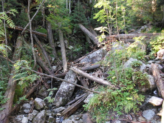 Den Umweg zum Wasserfall hätten wir uns sparen können. Seit Wochen hat es nicht geregnet, da trocknet sogar das Gebirge aus.