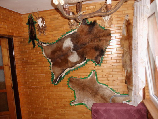 War es ein Bär, ein Wolf oder ein Wildschwein  ?