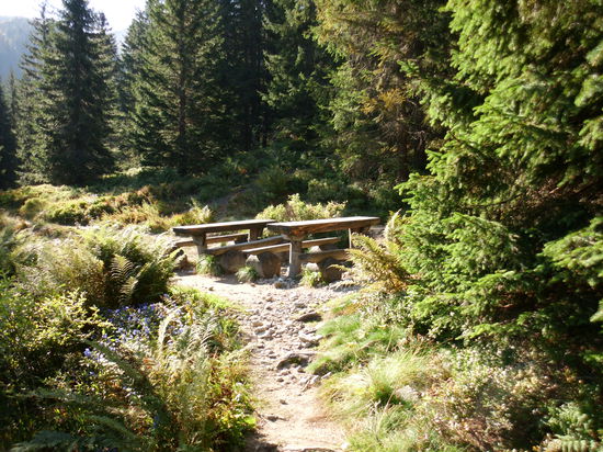 Auch heute sind wir wieder die ersten, dieser Rastplatz kommt höchstens auf dem Rückweg für uns in Frage !
