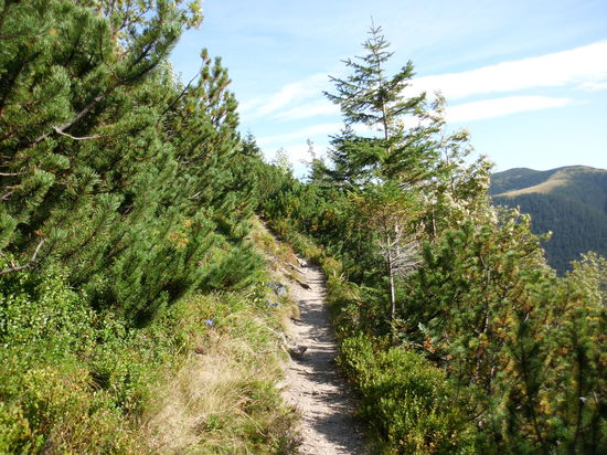 Je höher wir kommen, desto großartiger die Ausblicke. Aber man muß auchganz schön durchatmen!