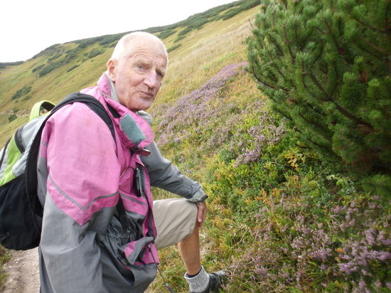 Nur hinter kargen Gebüschen findet man Schutz vor dem Seitenwind.