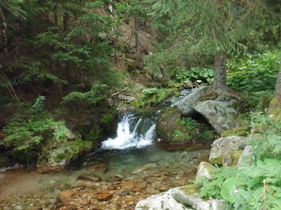 Am plätschernden Bach im windstillen Wald fühlen wir uns wieder wohl. Und wir haben unbändigen Durst! Den können wir hier stillen !