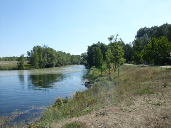Nördlich, auf slowakischem Gebiet, wird die Donau aufgestaut, aber Überläufe lassen auch Wasser auf ungarisches Gebiet ab, besonders, wenn die Donau Hochwasser führt. Das wird dann in Kanälen und Altarmen weiter nach Osten geführt.