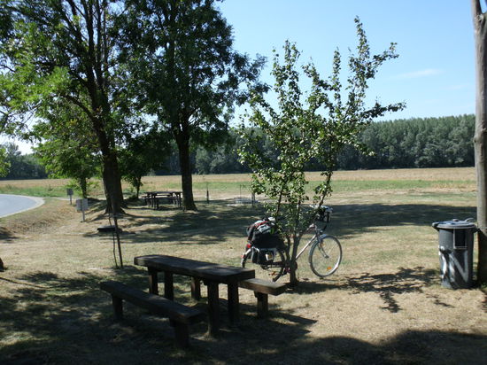 Ich bin zwar allein hier, aber der volle Papierkorb beweist, dass etliche Radler hier lang kommen müssen.....