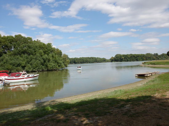  Ein stark besucher Campingplatz direkt an der Donau. Man spricht und versteht hier alle Sprachen....