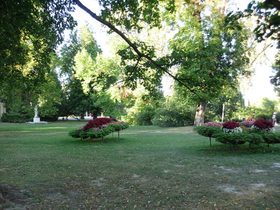 Blumenrabatten auf Augenhöhe!