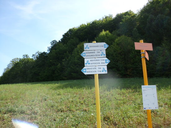 ich scheine mitten im Fahrradrevier zu sein.