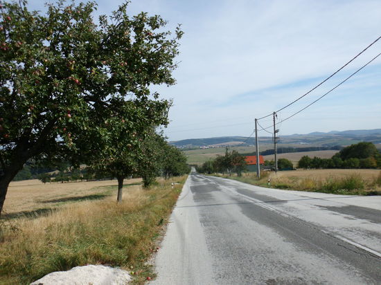Herrlich die fast verkehrslosen Straßen, die endlose Steigung muß ja auch wohl irgendwo wieder runter gehen ?
