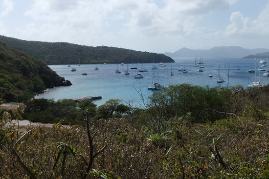 "The Bay" auf Norman Island. Ein Muß für jeden Segler, der auf die Virgins kommt.