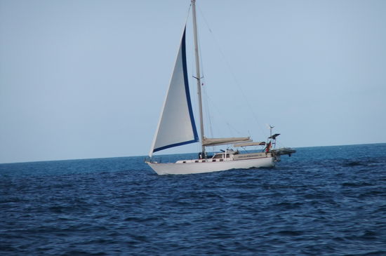 Sigi gibt uns hier unsere Reisepässe zurück, um mit Annmarie allein auszuklarieren und mit ihr zu den US Virgins zu segeln. Für uns eine Gelegenheit, die AMBASSADOR mal unter Segeln zu fotografieren.
Denn wir können nicht mit ihm in die US Virgins fahren, sondern müssen die Fähre dafür benutzen. Weil nämlich...aber das ist das nächste Kapitel