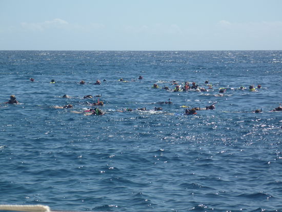 Wir liegen genau über einem alten Schiffswrack, das Wolfgang sofort erkundet. 
Mehrmaliges ausgiebiges Baden rund ums Boot ist angesagt, allerdings in Badehose, denn zwischendurch kommen immer wieder Boote mit Touristen von den Musikdampfern, die hier schnorcheln wollen.