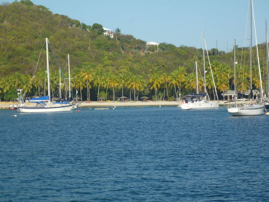 Diese Bucht erfüllt alle Wünsche: Sigi kommt hier ins Internet, zum Einkaufen nach St. Thomas ist es nicht weit, glasklares Wasser zum Baden und kein Schwell.
