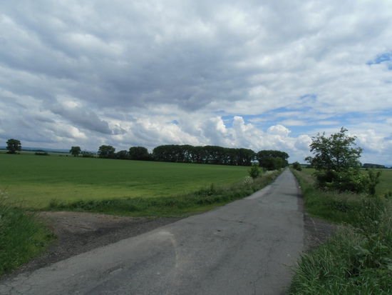 Auf solchen Radwegen macht das Radeln richtig Spaß