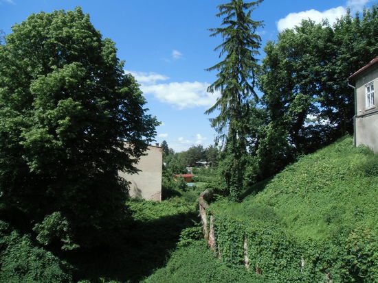 Seit dem zweiten Weltkrieg war die Burg fast ganz zugewachsen
