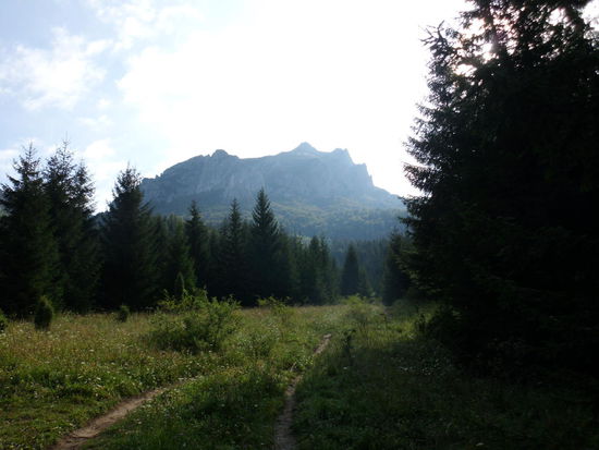 Da oben wollen wir hin, 1611 m ü.M. ist er hoch, der Velky Rozsutec, 800 Meter höher als unser Startort in Stefanova!