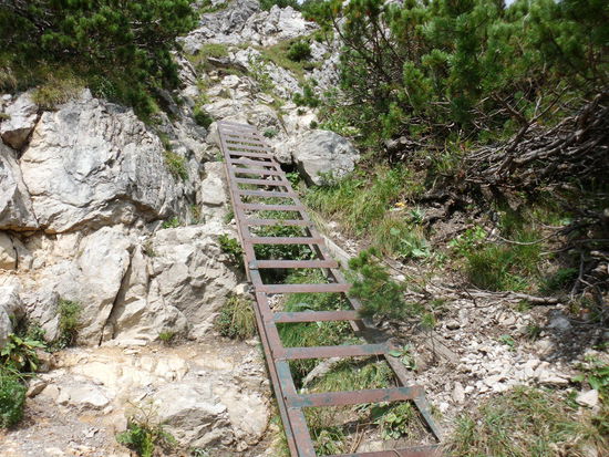 Jetzt gehts auf allen Vieren hoch!