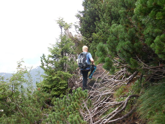 Den Abstieg hatten wir uns leichter vorgestellt. Gut, dass es trocken ist. Auf diese Äste treten zu müssen, wenn sie naß und glitschig sind, stelle ich mir lieber nicht vor.