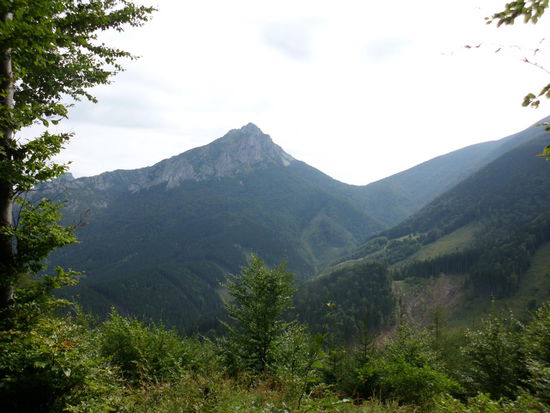 Dort oben waren wir gestern.