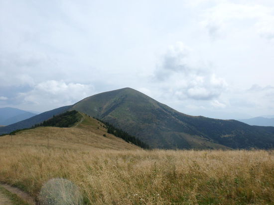 Nun lockt der Kammweg! Den Hügel da drüben ( Stoh, 1607 M.ü,M ) könnten wir ja noch mitnehmen und dann wieder absteigen, so schroffe Felsen wie gestern sind ja nicht zu sehen.
