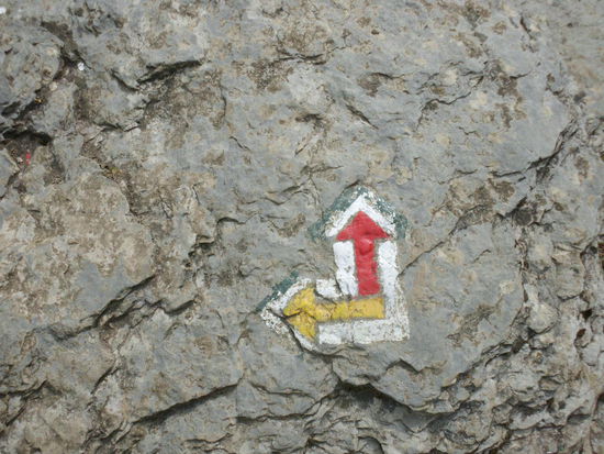 rot führt rauf zum "Hügel", gelb geht seitlich um ihn herum. Wir kneifen und nehmen den gelben Weg am Hang entlang