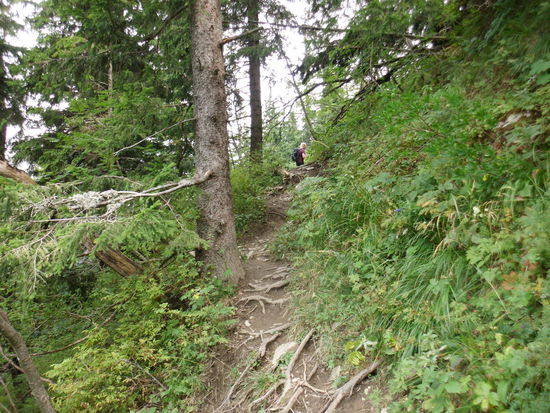 ...aber der hat es auch in sich