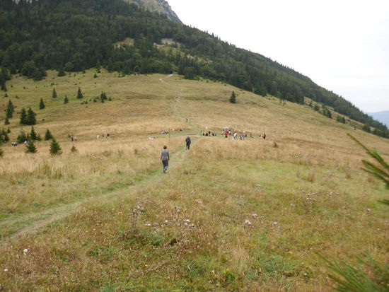 Nun sind wir wieder an dem Sattel, auf dem wir gestern schon waren, 450 Höhenmeter abwärts noch, dann lockt unser Zlaty Bazant, das schöne slowakische Bier !