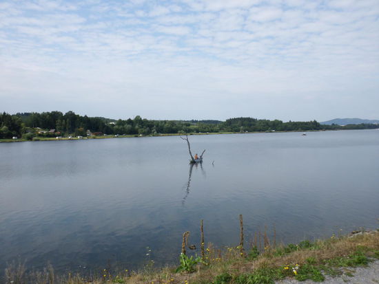 Oberhalb von Zilina ist die Waag (Vah) aufgestaut, ein Angler- und Sportlerparadies, am Sonntagmorgen aber scheint jedermann in der Kirche zu sein.