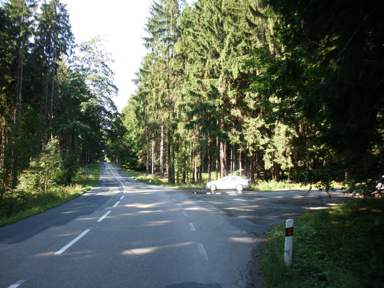 Der Weg bergab auf freien Straßen mitten durch den Wald, ein genüßliches Radeln
