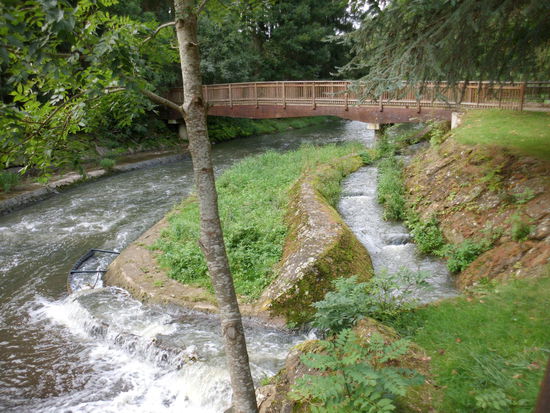 Wasserspiele und zugleich Grundwasserregulierung und Wasser-Klärung.