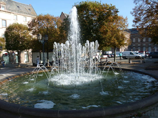 Wasser scheint's hier genug zu geben!