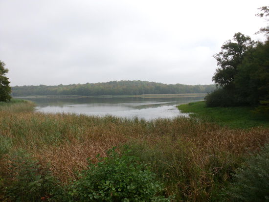 Rechts und links eine Teichlandschaft, die lothringische Hochebene