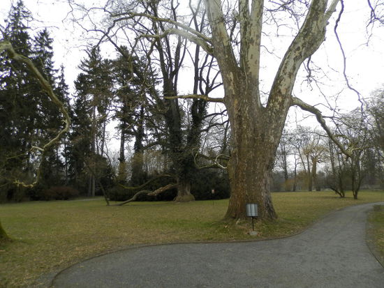 Der riesige Park der bischöflichen Sommerresidenz, allein schon zu groß, um ihn vollständig zu Fuß zu erwandern!
