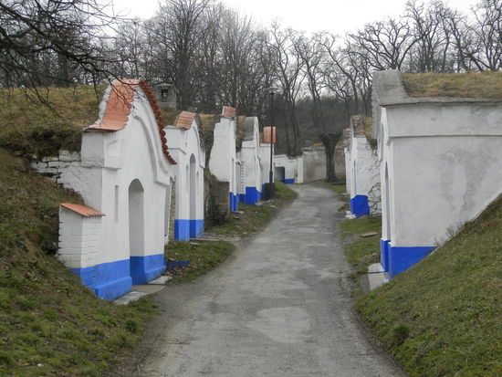 Wenn wir hier nun schon sind, dann sollten wir uns das Weindorf Petrov ansehen, das direkt an der Grenze zur Slowakei liegt