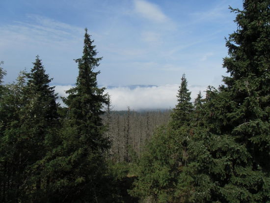 Ein Lichtblick: Vereinzelt kommt auch noch heile Natur vor, und wenn die Sonne darüber scheint, sieht alles gleich viel schöner aus.