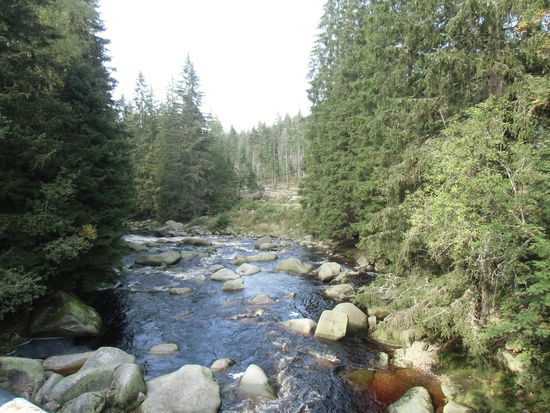 moorbraun sind alle Bäche, die hier abfließen, Streckenweise sind sie vor Jahrhunderten aufgestaut worden, um das Wasser zum Flößen von Feuerholz nutzen zu können. Ein Schwarzenberg-Kanal wurde eigens dafür gebaut
