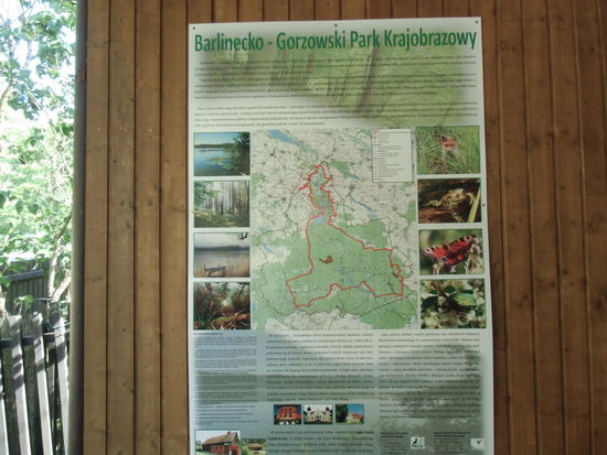 Natur pur gibt es rundum zu erkunden, ideal für Rad-Rundtouren und zum Pilzesammeln